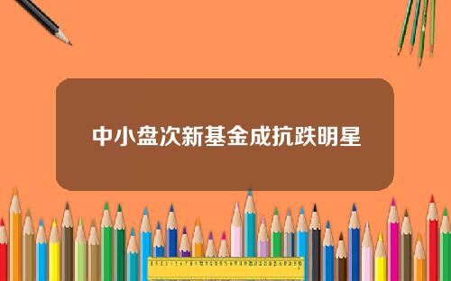 中小盘次新基金成抗跌明星