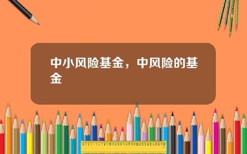 中小风险基金，中风险的基金