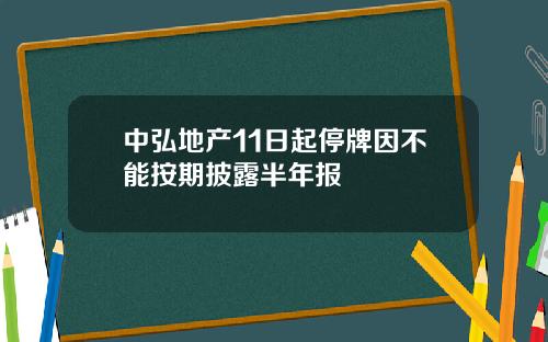中弘地产11日起停牌因不能按期披露半年报