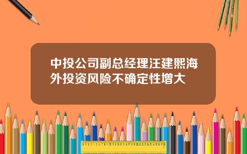 中投公司副总经理汪建熙海外投资风险不确定性增大