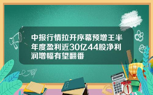 中报行情拉开序幕预增王半年度盈利近30亿44股净利润增幅有望翻番