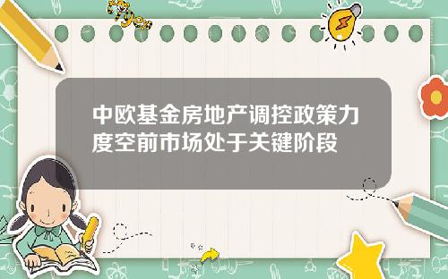 中欧基金房地产调控政策力度空前市场处于关键阶段