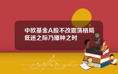 中欧基金A股不改震荡格局低迷之际乃播种之时