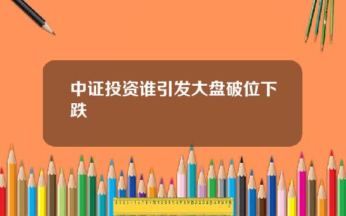 中证投资谁引发大盘破位下跌