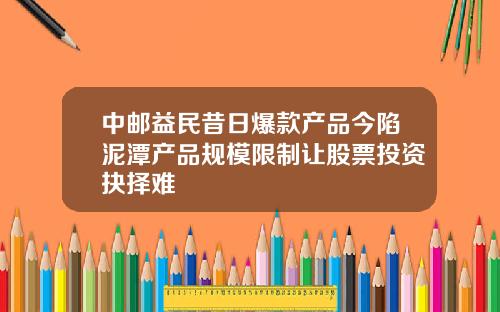 中邮益民昔日爆款产品今陷泥潭产品规模限制让股票投资抉择难