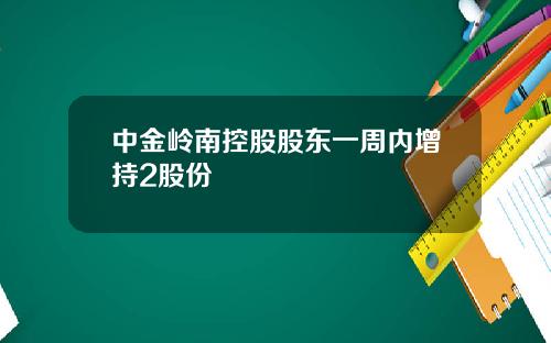 中金岭南控股股东一周内增持2股份