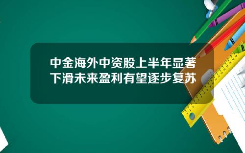 中金海外中资股上半年显著下滑未来盈利有望逐步复苏
