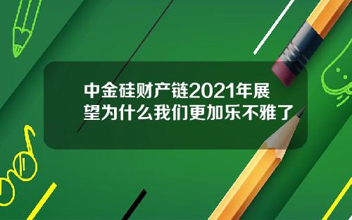 中金硅财产链2021年展望为什么我们更加乐不雅了