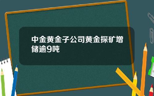 中金黄金子公司黄金探矿增储逾9吨