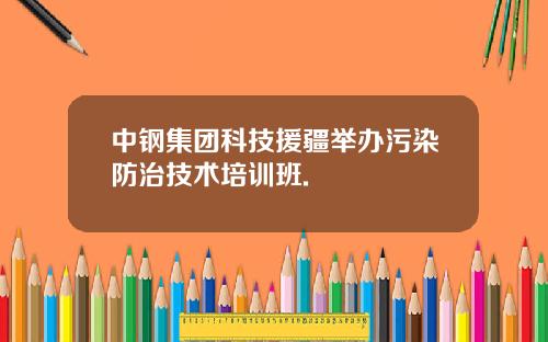 中钢集团科技援疆举办污染防治技术培训班.