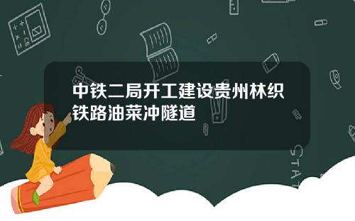 中铁二局开工建设贵州林织铁路油菜冲隧道