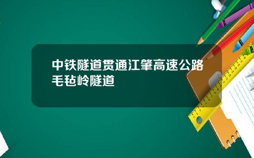 中铁隧道贯通江肇高速公路毛毡岭隧道