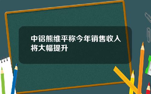 中铝熊维平称今年销售收入将大幅提升