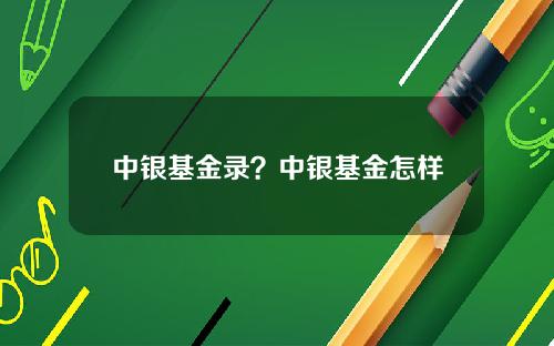 中银基金录？中银基金怎样