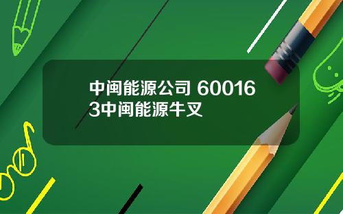 中闽能源公司 600163中闽能源牛叉