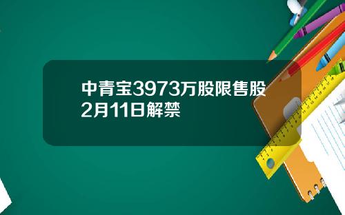 中青宝3973万股限售股2月11日解禁