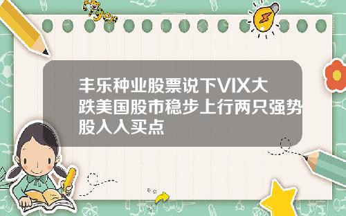 丰乐种业股票说下VIX大跌美国股市稳步上行两只强势股入入买点