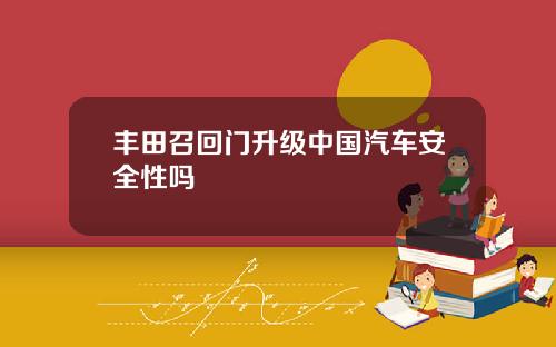 丰田召回门升级中国汽车安全性吗