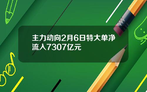 主力动向2月6日特大单净流入7307亿元