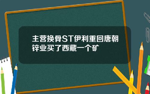 主营换骨ST伊利重回唐朝锌业买了西藏一个矿