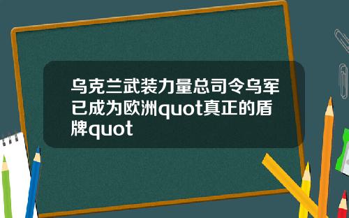 乌克兰武装力量总司令乌军已成为欧洲quot真正的盾牌quot