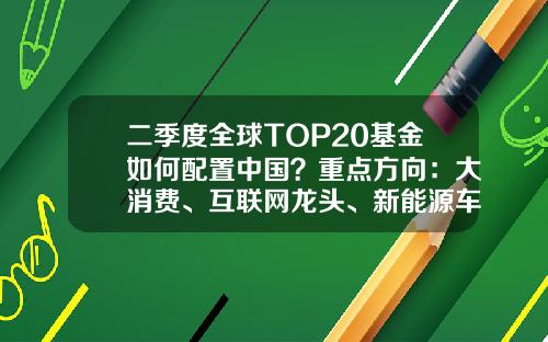 二季度全球TOP20基金如何配置中国？重点方向：大消费、互联网龙头、新能源车板块-互联网的基金.