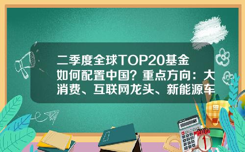 二季度全球TOP20基金如何配置中国？重点方向：大消费、互联网龙头、新能源车板块-配置基金.