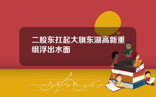 二股东扛起大旗东湖高新重组浮出水面