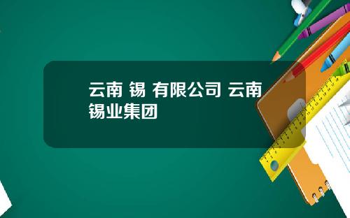 云南 锡 有限公司 云南锡业集团
