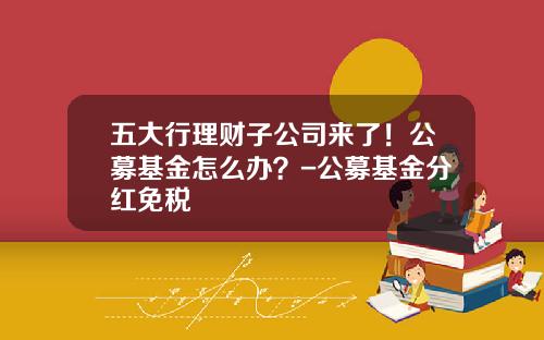 五大行理财子公司来了！公募基金怎么办？-公募基金分红免税