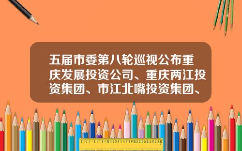 五届市委第八轮巡视公布重庆发展投资公司、重庆两江投资集团、市江北嘴投资集团、重庆港务物流集团巡视整改进展情况-重庆8大投资公司