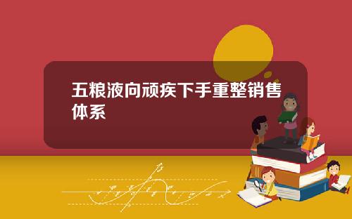 五粮液向顽疾下手重整销售体系