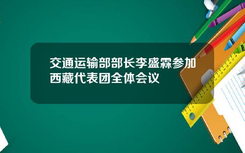 交通运输部部长李盛霖参加西藏代表团全体会议