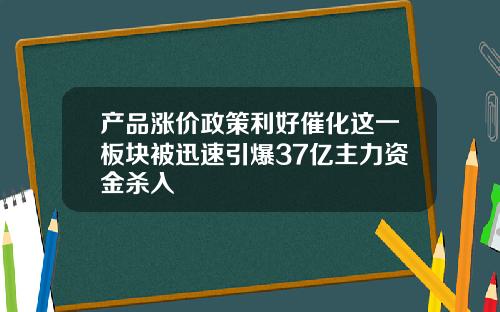 产品涨价政策利好催化这一板块被迅速引爆37亿主力资金杀入