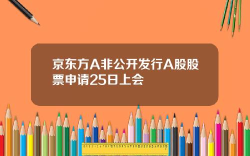京东方A非公开发行A股股票申请25日上会