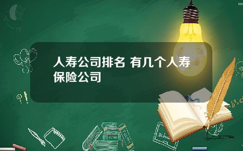 人寿公司排名 有几个人寿保险公司
