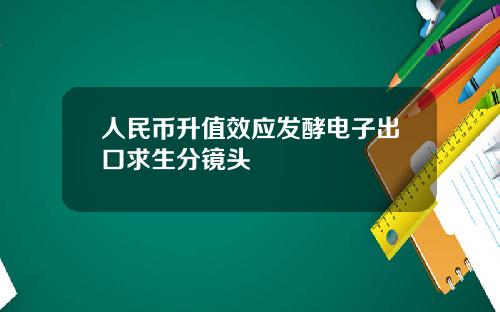 人民币升值效应发酵电子出口求生分镜头