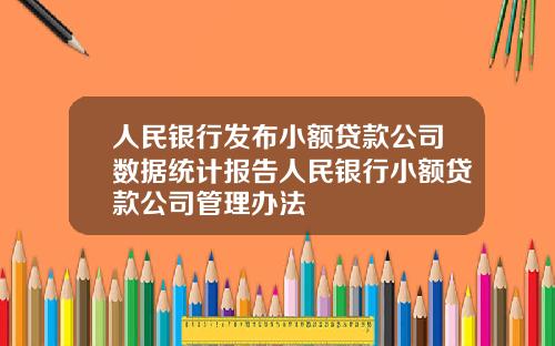 人民银行发布小额贷款公司数据统计报告人民银行小额贷款公司管理办法