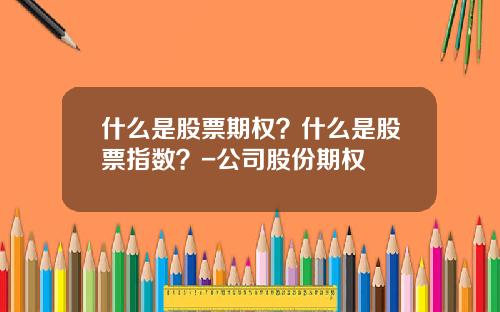 什么是股票期权？什么是股票指数？-公司股份期权