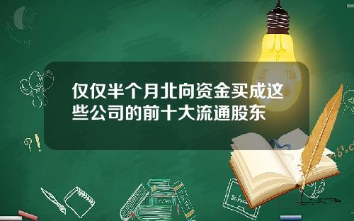 仅仅半个月北向资金买成这些公司的前十大流通股东