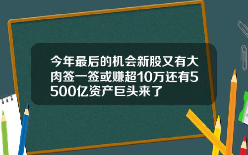 今年最后的机会新股又有大肉签一签或赚超10万还有5500亿资产巨头来了