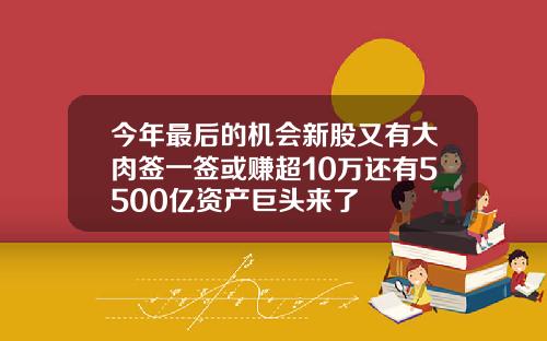 今年最后的机会新股又有大肉签一签或赚超10万还有5500亿资产巨头来了