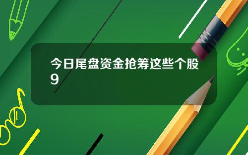 今日尾盘资金抢筹这些个股9
