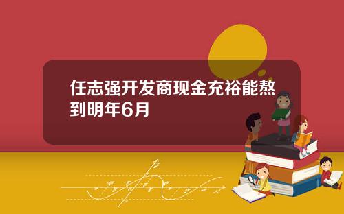 任志强开发商现金充裕能熬到明年6月