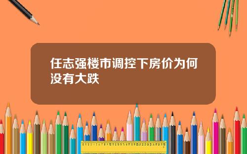 任志强楼市调控下房价为何没有大跌