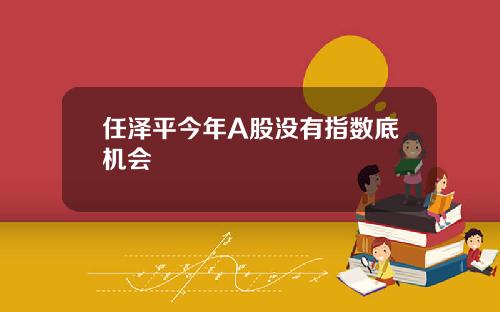 任泽平今年A股没有指数底机会