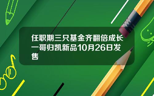 任职期三只基金齐翻倍成长一哥归凯新品10月26日发售