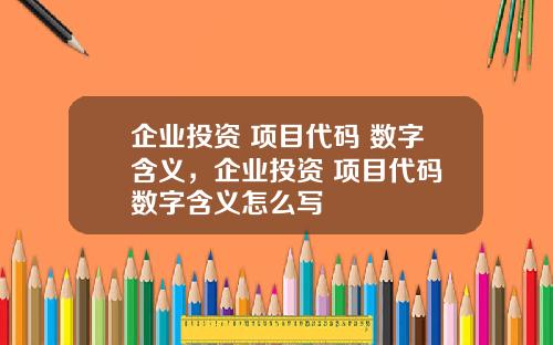 企业投资 项目代码 数字含义，企业投资 项目代码 数字含义怎么写