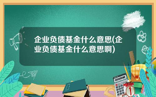 企业负债基金什么意思(企业负债基金什么意思啊)