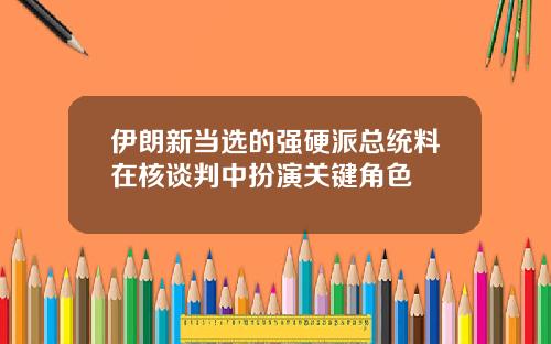 伊朗新当选的强硬派总统料在核谈判中扮演关键角色